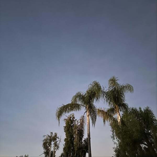 Cover art for I Am No One